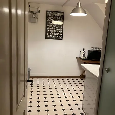 Charming Rustic Swiss Mansarde 60m2 Center Parking Small Bathroom