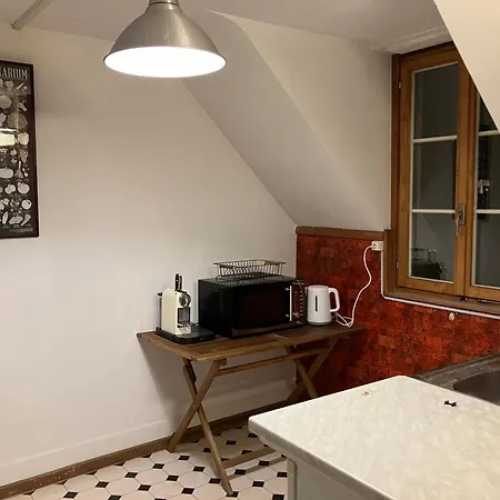 Apartment Old Rustic Swiss Mansarde 60m2 Center Parking Small Bath *