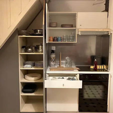 Old Rustic Swiss Mansarde 60m2 Center Parking Small Bath アパート