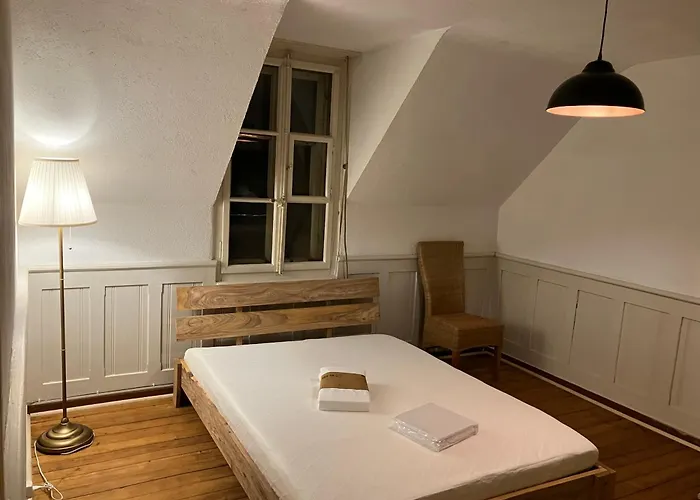 Old Rustic Swiss Mansarde 60m2 Center Parking Small Bath Lägenhet