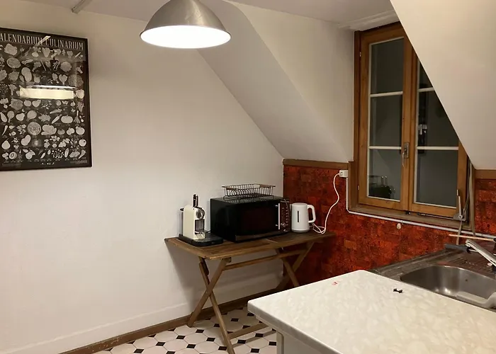 Lägenhet Old Rustic Swiss Mansarde 60m2 Center Parking Small Bath *