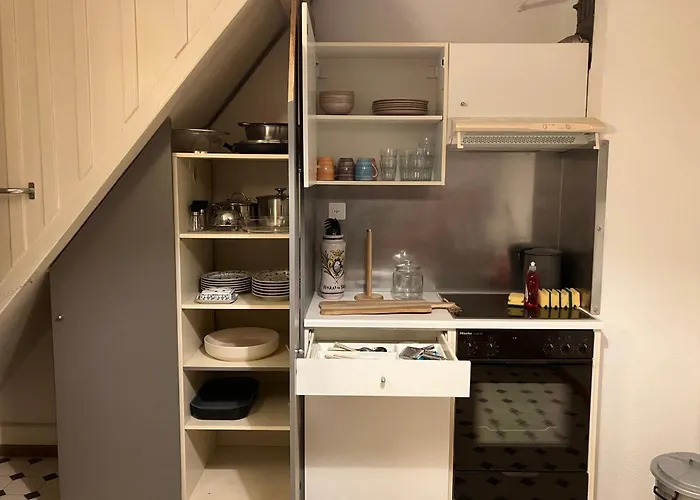 Old Rustic Swiss Mansarde 60m2 Center Parking Small Bath Lejlighed