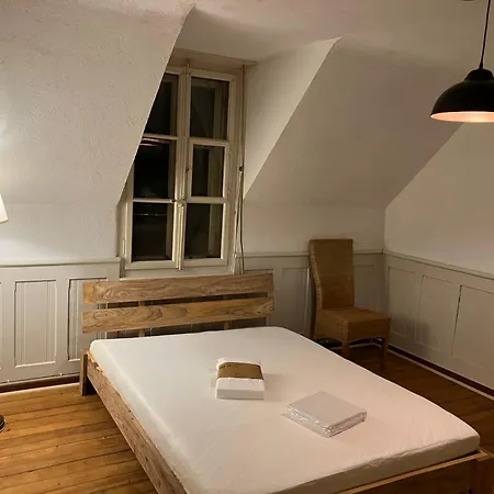 Old Rustic Swiss Mansarde 60m2 Center Parking Small Bath Apartament